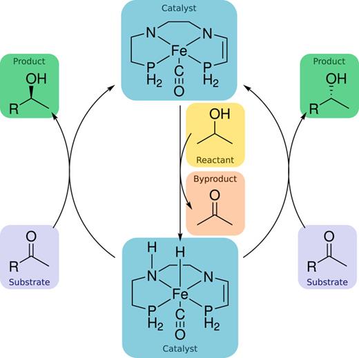 Overview of the catalytic process including both stereochemistries in a minimal cycle.