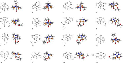 Products of a few selected side reactions found during the exploration.