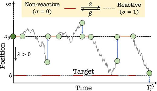 Schematic diagram of a gated drift-diffusion process in semi-infinite space with resetting, where the target (placed at the origin) switches stochastically between a reactive state (σ = 1) and a non-reactive state (σ = 0). The transition from the non-reactive to the reactive state takes place with a constant rate α > 0, and the opposite transition takes place with a constant rate β > 0. When the particle, starting at x0, hits the target in its reactive state (dashed line), the process ends. TrG marks the random completion time of the gated drift-diffusion process after resetting.