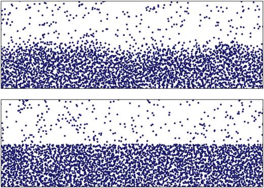 Top: Cross section of a snapshot of a simulated liquid–vapor interface configuration for a truncated Lennard-Jones (LJ) fluid at liquid–vapor bulk coexistence for the temperature T ≈ 0.8Tc; Tc is the critical temperature of this fluid. Bottom: Interface-related fluctuations are switched off in a gedanken experiment (see the main text). This snapshot depicts the initial configuration of the simulation, composed of two independent bulk configurations, before further equilibration.