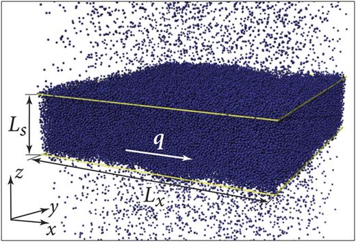 Snapshot of the simulated LJ liquid–vapor coexistence at T ≈ 0.8Tc, comprising 210 000 particles in total; in the vapor phase, only every tenth particle has been drawn for clarity. The yellow frames indicate the mean positions of the two planar interfaces, which delimit the liquid slab of width Ls = 25.0σ [see Eq. (B1)]; the area of each of the mean interfaces is (100σ)2. The lateral scattering vector q lies in the plane parallel to the interfaces (xy-plane). Along the direction normal to the interfaces (z-axis), the length of the simulation box is Lz = 125σ, but only a part of it is shown.