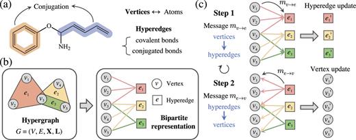 (a) The method of constructing molecular hypergraphs for conjugated molecules. (b) The conversion from a hypergraph to an equivalent bipartite graph. (c) The message-passing method of our MHNN model.