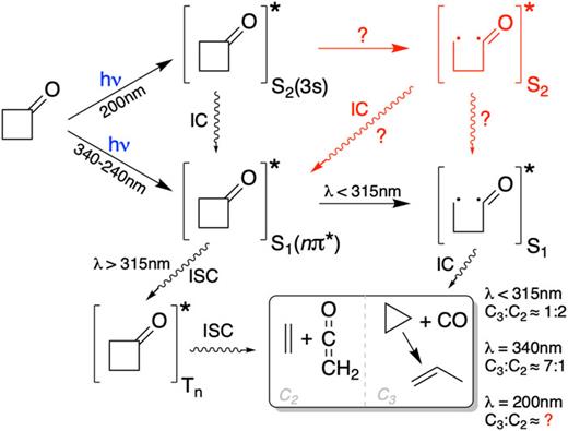 Schematic representation of the photochemistry of cyclobutanone triggered by photoexcitation to S1(nπ*) or S2(3s) as described by the literature (see the main text). Red symbols indicate the pathways discussed and questions addressed in the present work.