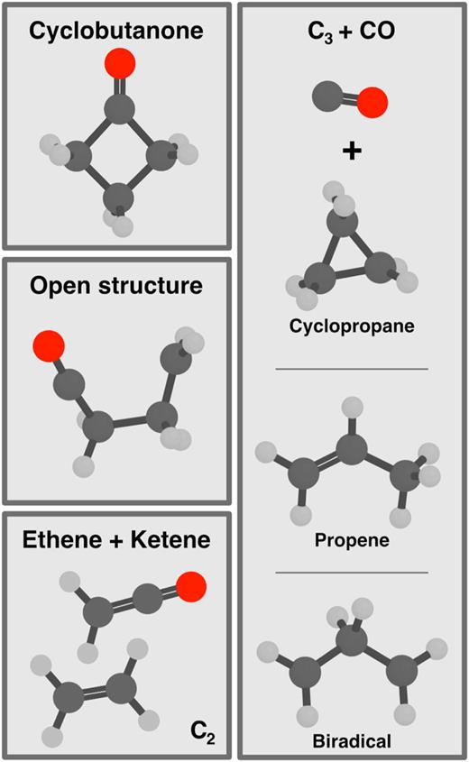 The different categories of (photo)products considered in our analysis of nonadiabatic dynamics.