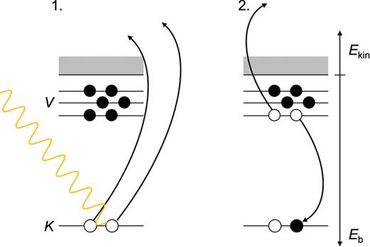 Schematic showing the simultaneous ejection of two core electrons (left, label “K”) and the first step in the radiationless decay of the two core holes (right) by rearrangement of the valence shell (label “V”). The kinetic energy (Ekin) spectrum of the latter decay step in liquid water will be discussed here. Eb denotes the binding energy.