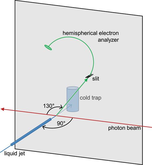 Sketch of the experimental geometry. Circularly polarized synchrotron radiation (red arrow) is crossed by the liquid jet (blue arrow) in the horizontal plane under a right angle. Electrons are collected by a hemispherical analyzer arranged to have a vertical orbit plane aligned with the synchrotron radiation beam (green line: central electron trajectory). The entrance slit into the hemisphere is, therefore, parallel to the liquid jet. After crossing the interaction zone, the liquid jet is frozen out on a cold trap.