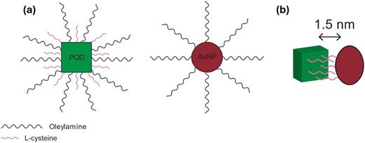 FIG. 4. Refer to the image caption for details.