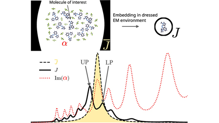 Qed Model Quantized embedding approaches for collective strong coupling ...