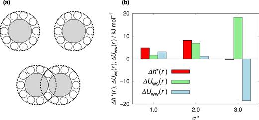Changes in the solvation shells and the solvation enthalpy when two solute particles are brought into contact. (a) Schematic picture of the first solvation shells around a pair of large solute particles in the separated and contact configuration. The water molecules in the solvation shells have Eww higher than in bulk (Fig. 6) and NHB less than in bulk (Fig. 7), but their solute–water interaction energy is lower than in bulk. (b) The solvation enthalpy change Δh*(r) and its components ΔUww(r) and ΔUws(r).