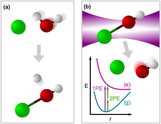 (a) Generation of CaOH+ by a trapped Ca+ ion colliding and reacting with a water molecule. (b) Photodissociation of CaOH+ back to Ca+ by single-photon excitation (1PE) or two-photon excitation (2PE) to its unbound first electronic excited state.