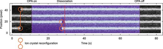 Visualization of the time evolution of the ion crystal configuration using a series of fluorescence images of a typical photodissociation trial. The images are acquired over an exposure time of 0.2 s and are integrated perpendicular to the trap axis to obtain the positions of bright Ca+ ions and dark CaOH+ ions.