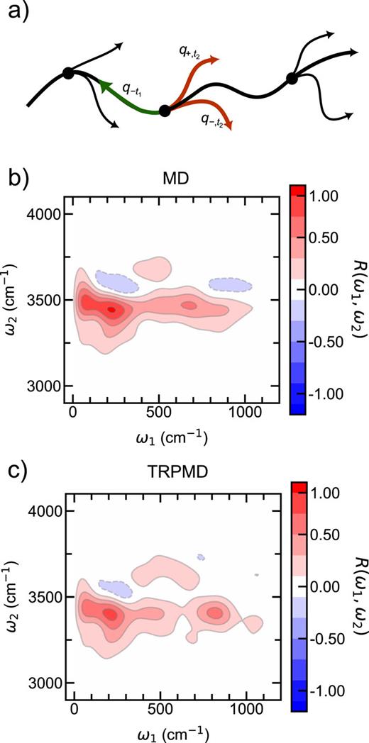 Two-dimensional IR-Raman spectroscopy: (a) The schematic of the equilibrium–nonequilibrium (RP)MD approach (see the text). (b) and (c) The frequency-dependent response function corresponding to the two-dimensional THz–IR–Raman (also called THz–IR–visible192) spectrum of liquid water, computed using classical MD and TRPMD, respectively. Figure adapted from Ref. 118, with permission (CC-BY Licence).