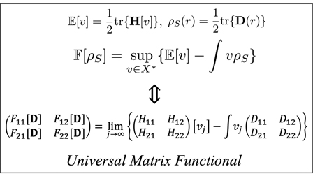 Function domains and the universal matrix functional of multi-state ...