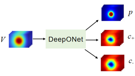 Exploration of deep operator networks for predicting the piezoionic ...