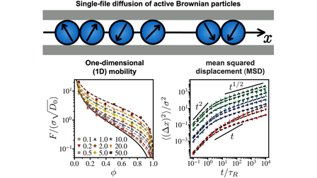 Single-file diffusion of active Brownian particles | The Journal of ...