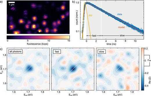 2D spectra of single molecules. (a) Exemplary fluorescence map of DBT molecules in a PMMA thin film. Each bright spot corresponds to a single DBT molecule. (b) TCSPC trace of one such molecule along with the instrument response function (IRF). (c) We sort the photons in two categories: “fast” (τ < 3 ns) and “slow” (τ > 3 ns). We calculate purely absorptive 2D spectra for each case along with the “all photons” case. The error bar corresponds to the shot noise level for the latter. The noise level will be 2 times higher for the “fast” and “slow” cases.