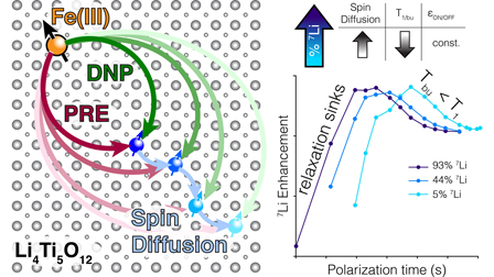 The role of spin diffusion in endogenous metal ions DNP | The Journal ...