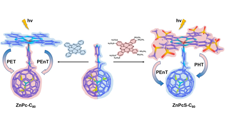 Non-adiabatic dynamics simulations reveal the reversal of photoinduced ...