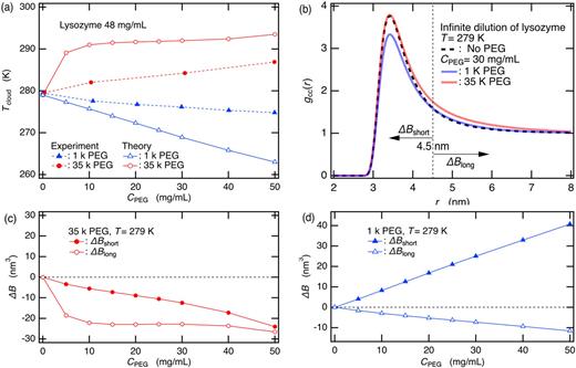 Addition of low-molecular-weight PEGs stabilizes the mixture of lysozyme and PEG, thereby suppressing the LLPS, whereas that of high-molecular-weight PEGs conversely destabilizes the mixture, promoting the LLPS. (a) Tcloud as a function of PEG concentration CPEG for two different molecular weights of PEG of 1 and 35 kg/mol at the lysozyme concentration of 48 mg/ml. The theoretical results of Tcloud are compared with the experimental data.18 The lines are merely guides to the eye. (b) The pair distribution functions between colloids gccr at the infinite dilution of colloids with the addition of 30 mg/ml of 1 and 35 kg/mol PEGs at the temperature of 279 K. This temperature corresponds to Tcloud without PEG addition. For comparison, the gccr without PEG addition is also shown. The vertical dotted line indicates the radial distance r = 4.5 nm, which was employed to divide B into the short-range part Bshort and the long-range part Blong. (c) Change in the osmotic second virial coefficient ΔB, defined as BCPEG−B0, upon the addition of the 35 kg/mol PEG at 279 K. The short-range part ΔBshort (r ≤ 4.5 nm) and long-range part ΔBlong (r > 4.5 nm) are shown as a function of PEG concentration CPEG. (d) The same as (c), except that the 35 kg/mol PEG is replaced by the 1 kg/mol PEG.