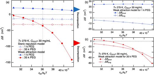 Weak effective attractive interactions between lysozyme and PEG play a crucial role in both the low molecular weight PEG-induced stabilization of lysozyme–PEG mixtures and the high molecular weight PEG-induced destabilization. (a) Change in B by adding PEG with 30 mg/ml, ΔB, upon varying the polymer–colloid interaction parameter ϵpc at 279 K. The results calculated from the excluded volume interaction models that solely account for the steric repulsion as the colloid–polymer interaction and from the models that account for weak effective attractions between colloid and polymer are compared. The dashed vertical line in Fig. 2(a) indicates the ϵpc value for the baseline model. (b) and (c) ΔBs upon the addition of (b) 1 kg/mol PEG and (c) 35 kg/mol PEG that are divided into the short-range part ΔBshort and long-range part ΔBlong are shown as a function of ϵpc.