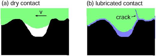 In a fluid, the frictional shear stress in the area of real contact may be reduced, which could allow the rubber to penetrate deeper into a road cavity. This will increase the tearing stress acting on the rubber in the cavity, which could increase the rubber wear.