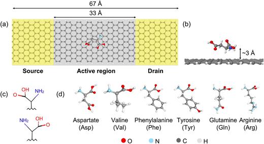 (a) Top view of the two-terminal setup used for the charge transport calculations. A finite size domain of an infinite armchair graphene nanoribbon (AGNR15) is considered as the sensing substrate (“active region”) with the two semi-infinite domains acting as electronic reservoirs. A given chiral molecule interacts with the “active region.” The domains highlighted as “source” and “drain” are the regions where the potential difference is applied; they are not structurally relaxed or affected by the presence of the molecules. (b) Side view of the “active region.” The molecules are initially placed at a typical van derWaals distance of ∼3Å above the AGNR substrate. (c) Schematic representation of the enantiomers, highlighting the common chiral center for all amino acids. (d) The set of amino acids used in this investigation (only the D-enantiomers are shown for simplicity).