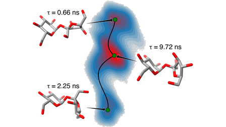 Microsecond-scale sucrose conformational dynamics in aqueous solution ...