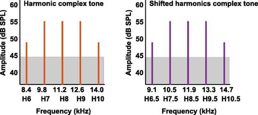 Fig. 1. Schematic of complex-tone stimuli used in experiment 1. The x axis shows the frequency of the components for the harmonic (left) and shifted-harmonic (right) conditions. The edge components were lower in amplitude by 6 dB to reduce potential spectral edge pitch cues.