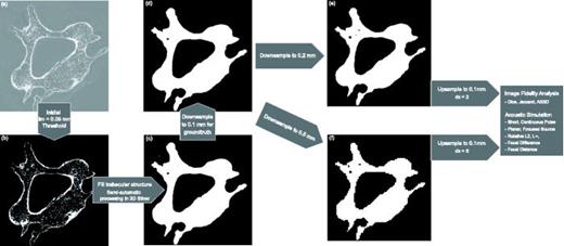Jel Classification Algorithm Medical image upsampling algorithm to reduce errors in grid-based ...