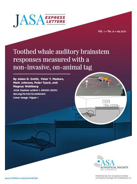 Speech Intelligibility And Talker Gender Classification With Noise