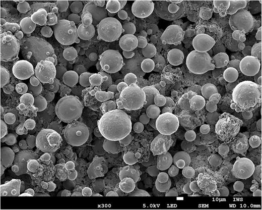 SEM image of the Inconel® 718 powder.