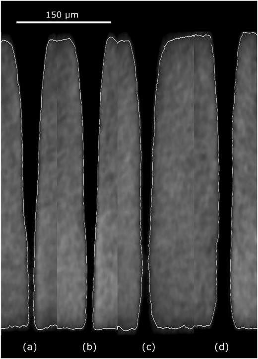 XCT image of holes’ profiles achieved with the conventional (main beam only) percussion drilling method, i.e., with pulse numbers of 20k (a) and 1000k (b), and with the two-side drilling method and the same pulse numbers, i.e., (c) with 20k and (d) with 1000k.