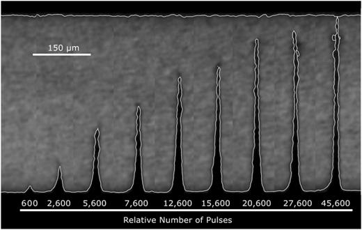 XCT image of hole profiles achieved with the misaligned reflected beam and different pulse numbers.