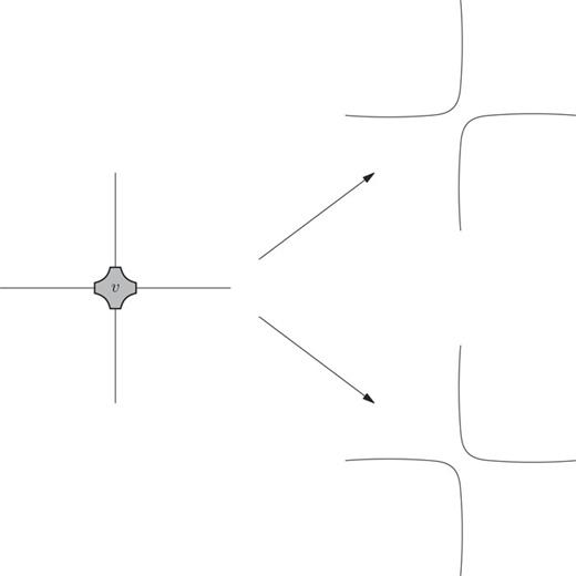 FIG. 4. The vertex v and its states σv.