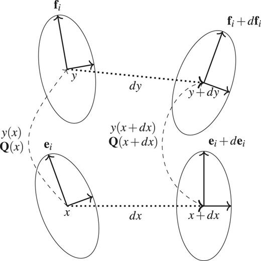 Illustration of deformation in Cosserat medium. The translational strain can be measured by looking at the change in the angle between the vectors ei and dx as ei goes to fi and dx goes to dy. Similarly, rotational strain is captured by the change in the relative angle of infinitesimally close directors ei and ei + dei as they go to fi and fi + dfi respectively.