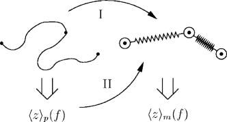 Development of bead-spring polymer models using the constant extension ...