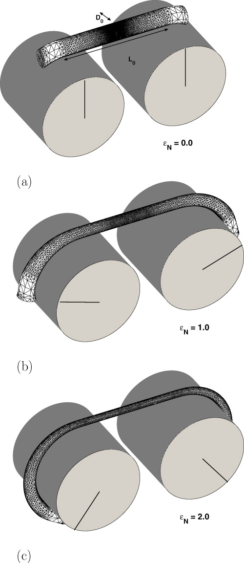 The dynamics of cylindrical samples in dual wind-up extensional ...