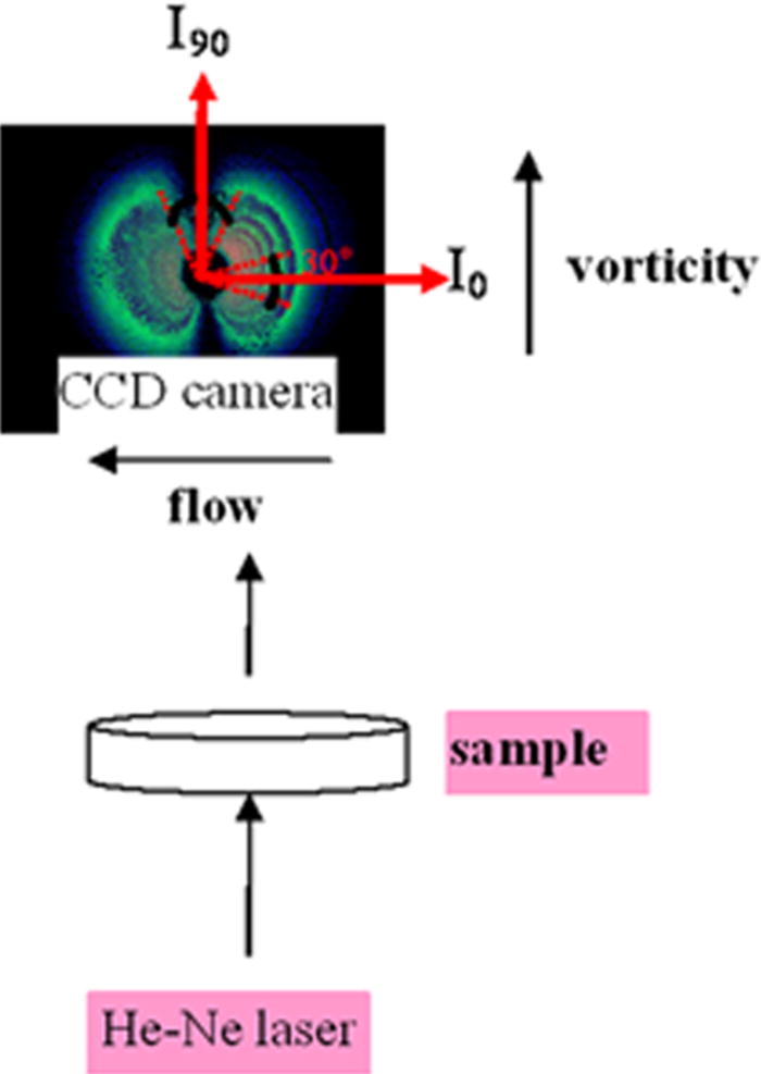 Shearinduced phase separation (SIPS) with shear banding in solutions