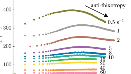 New insights on carbon black suspension rheology—Anisotropic thixotropy ...