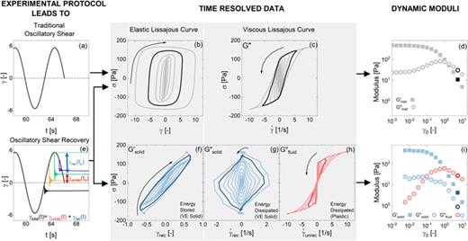 Understanding the transient large amplitude oscillatory shear behavior ...