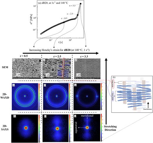 (a) Time cessation of stress growth   (  σ + ) of dB20 at 140 °C, followed by sudden stop of stretching deformation upon reaching three different strains (0.5, 2.5, and 3.3) in conjunction with temperature quenching (cooling) from 140 °C to room temperature. (b)–(d) Scanning electron microscopy (SEM) images, (e)–(g) 2D-WAXD patterns, and (h)–(j) 2D-SAXS patterns of uniaxially stretched samples at different strains (0.5, 2.5, and 3.3) at 140 °C and elongational deformation rate of 1 s−1 at fixed dis-UH wt. % content (dB20). The meridional and equatorial directions are shown in (j). In (k), we depict the crystalline structure of shish-kebab morphology. Further illustration on the intensity arising with increasing strain, leading to higher concentration of shish, is provided in Fig. S5(a) in the supplementary material.