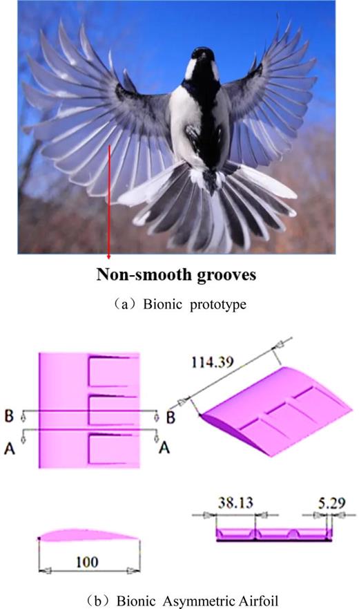 Three views of bionic airfoil (Units: mm).