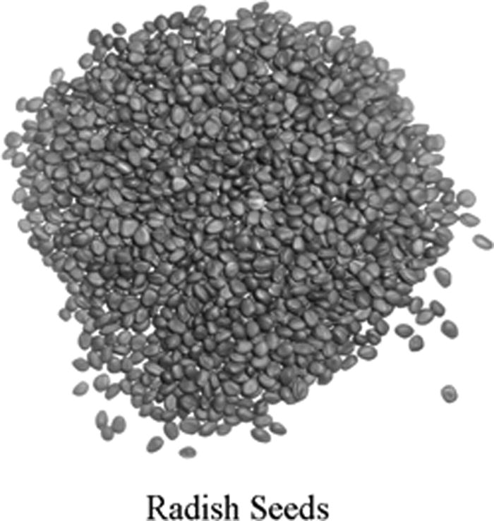 Reduction of NOx emission on NiCrAl-Titanium Oxide coated direct ...