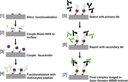Fabrication of plastic biochips | Journal of Vacuum Science ...