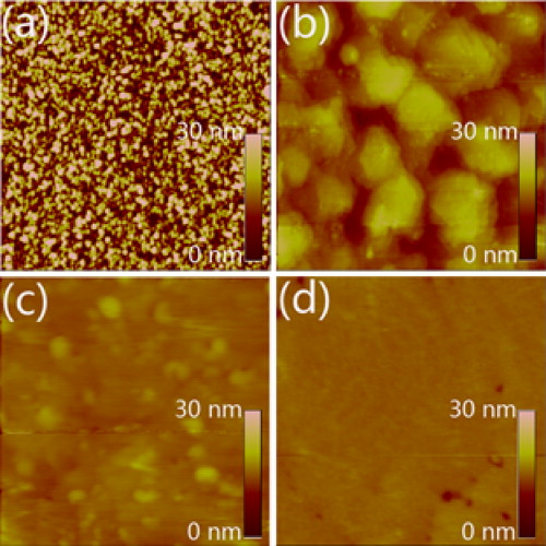 Influence of thermally diffused aluminum atoms from sapphire substrate