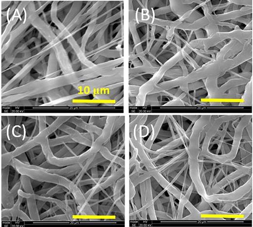 Fig. 3. (Color online) SEM microphotograph of intimal graft surface showing the nano/microfibrous morphology of the porous surface before and after APPJ treatment; (a) PCL untreated control, (b) treated with He/air plasma, (c) treated with He/NH3 plasma, and (d) treated with He/air/NH3 plasma. All scale bars are 10 μm.
