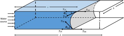 FIG. 3. Configuration of capillary meniscus formed by the presence of water between two surfaces with different contact angles.