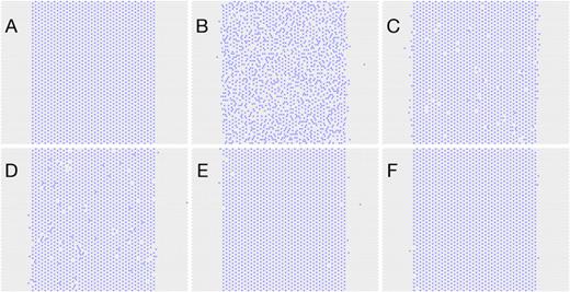 FIG. 2. Examples of configurations of a fully adsorbed monolayer on a patterned surface. (a) Starting condition, consisting of a closely packed triangular lattice within the patterned line. (b) ε1=2, ε2=0.1. (c) ε1=3, ε2=0.2. (d) ε1=2, ε2=0.5. (e) 12 ε1=6, ε2=0.5. (f) 16 ε1=6, ε2=1.0. All examples are obtained for W=40, ε0=10, and rp=5. Assuming a monomer-monomer distance of 4 Å, the width of the pattern would be 13.8 nm.
