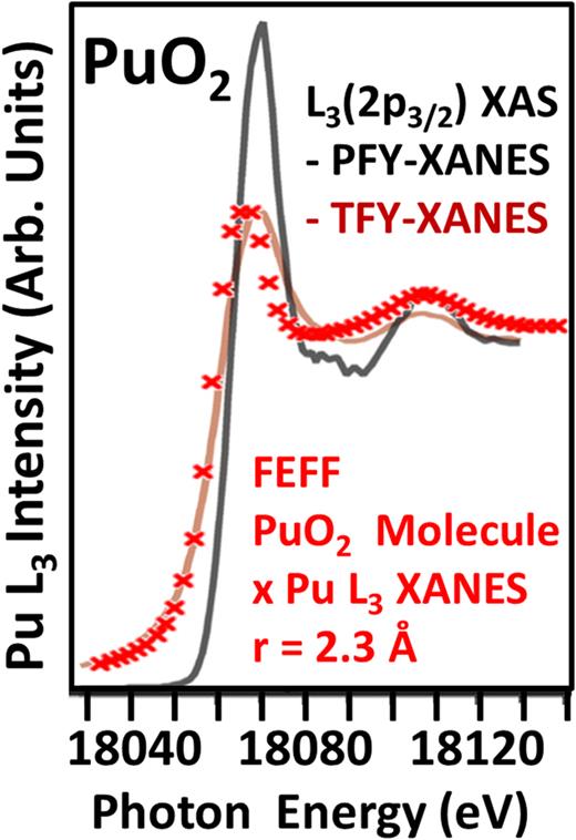 FIG. 2. Comparison of Pu L3 XAS with the predictions from FEFF, using a PuO2 molecule model with rNN = 2.3 Å. rNN = 2.33 Å in bulk PuO2. See text and Ref. 7 for details.