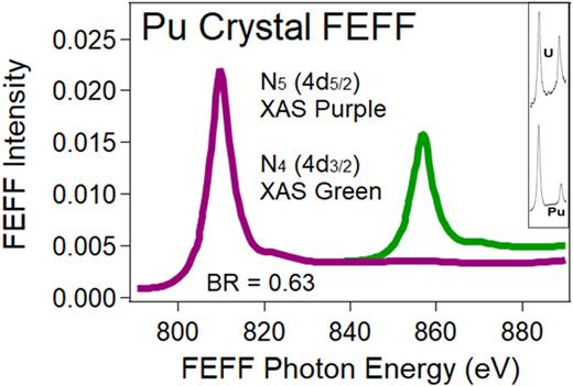 FIG. 3. FEFF N4,5 XAS of the Pu crystal from Fig. 1 is shown here, along with the N4,5 XAS of Pu and U (inset). See text for details. The experimental data are from Ref. 8. BR is the branching ratio. BR = I4d5/2/(I4d5/2 + I4d3/2). U BR = 0.68 and Pu BR = 0.82 (Ref. 9). Note the complete failure of FEFF with Pu XAS.